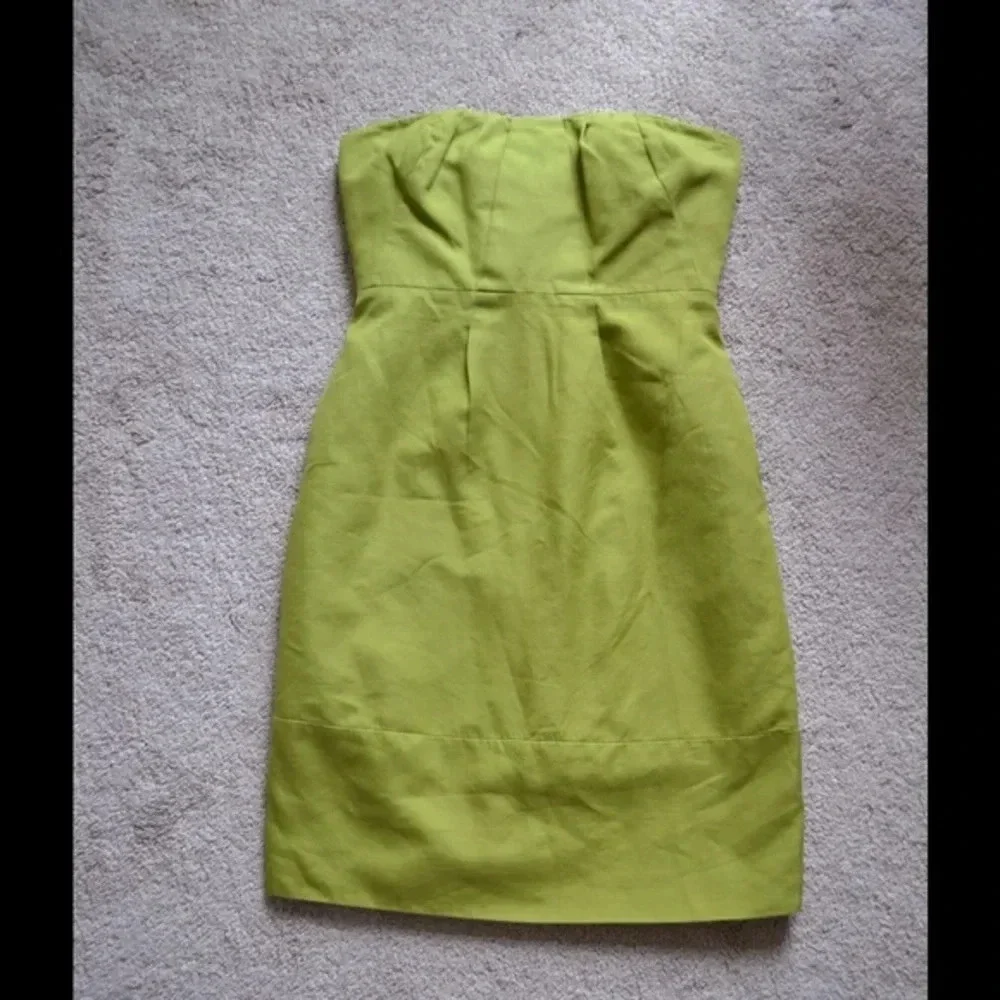 NWOT J. Crew dress